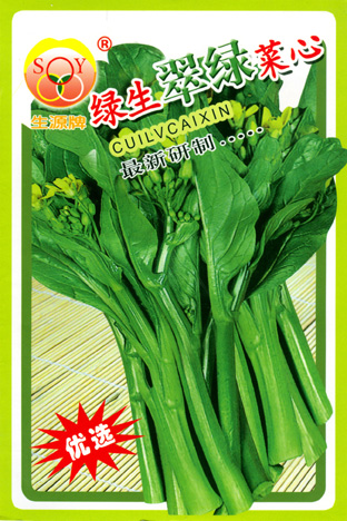 绿生翠绿菜心-2