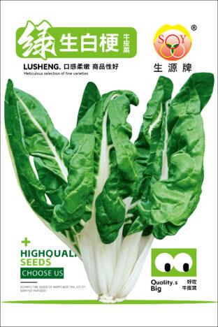 绿生白梗牛皮菜版